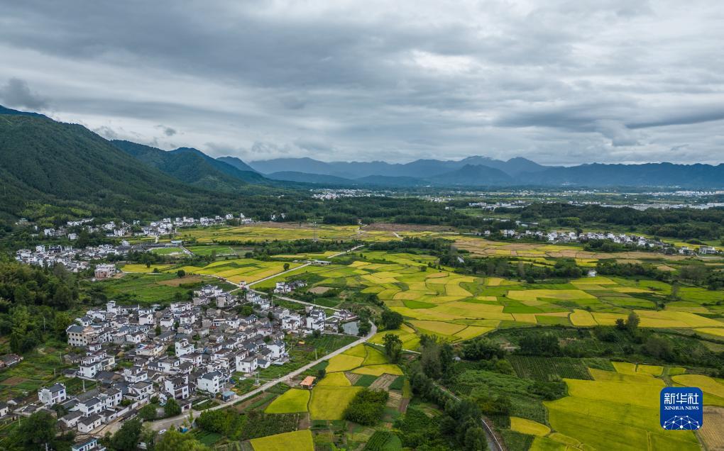 冰球 游戏
